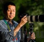 足球比分直播长春-实时追踪绿茵烽火，足球比分直播长春，点燃城市足球热情
